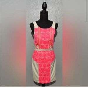 Fancy hot pink and white dress